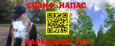 СК Кимры