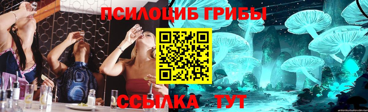 Псилоцибиновые грибы прущие грибы  Вход с VPN  Лиски 
