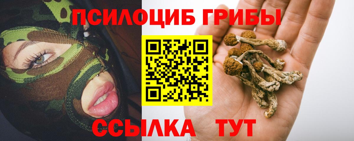 Галлюциногенные грибы мицелий Лиски
